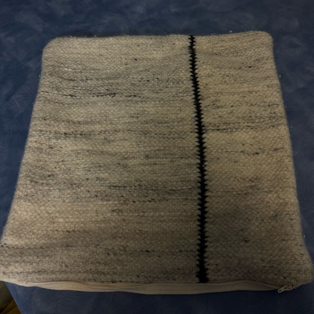 Pottery Barn pillow case cover